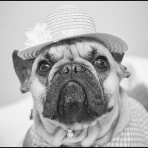 Meet your Posher, Jamie